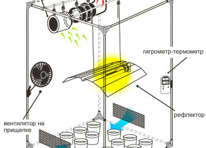 Аксессуары в Гроубокс 250W