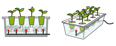 система аэропоника